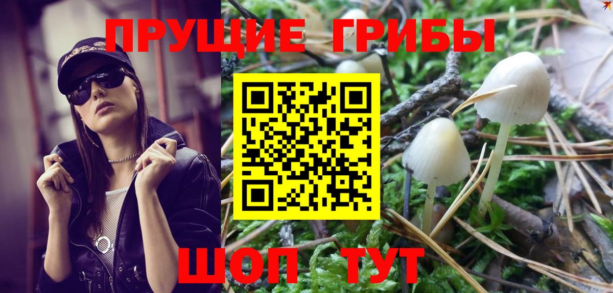 Дивногорск  Галлюциногенные грибы ЛСД  Галлюциногенные грибы Psilocybe  Вход с VPN 